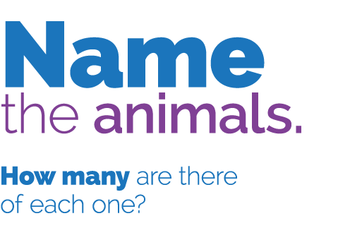 Name the animals  How many are there of each one 