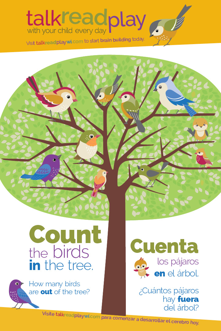 count birds poster